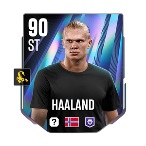 HAALAND