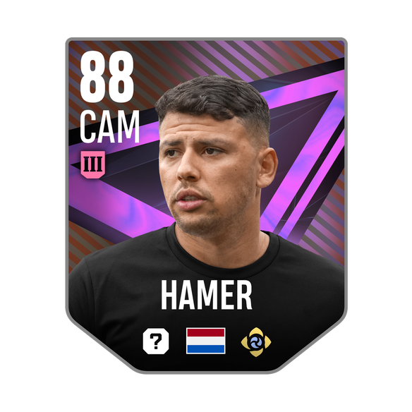 HAMER