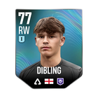 DIBLING