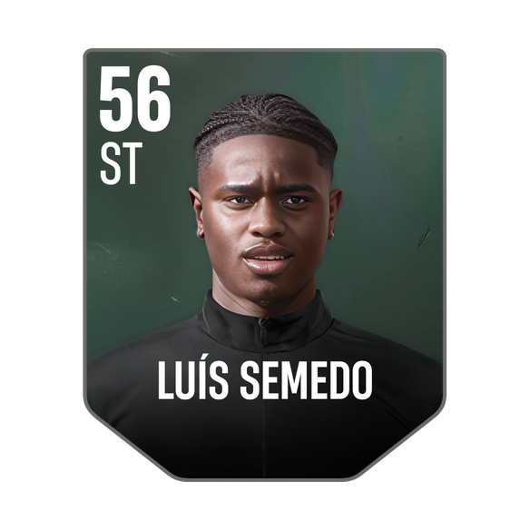 LUÍS SEMEDO