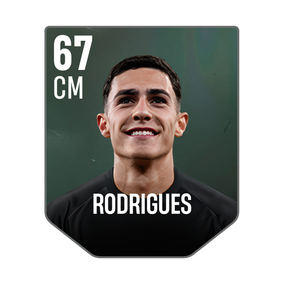 RODRIGUES