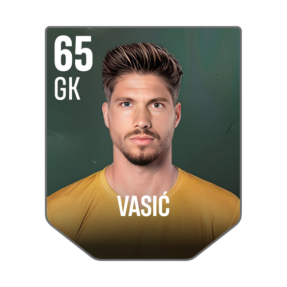 VASIĆ