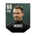 HEDGES