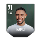 NAMLI