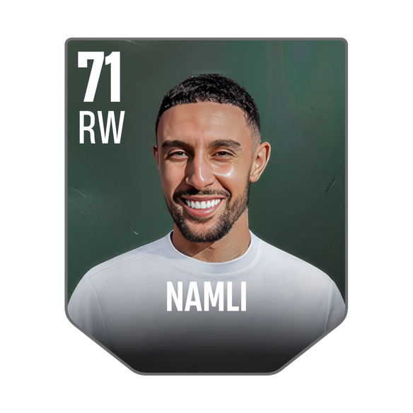 NAMLI
