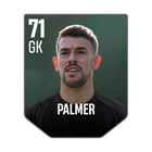PALMER