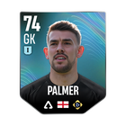 PALMER