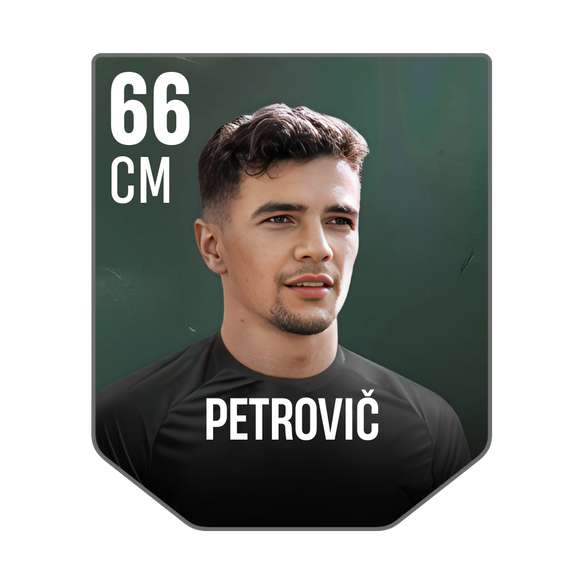 PETROVIČ