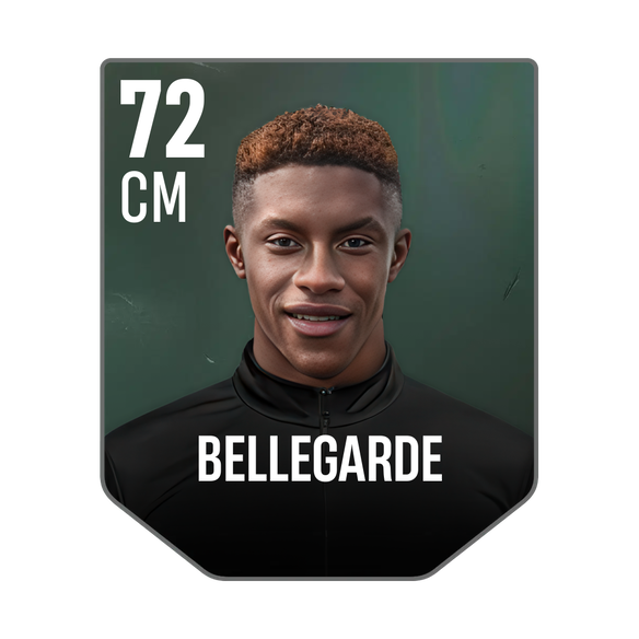 BELLEGARDE