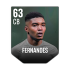 FERNANDES