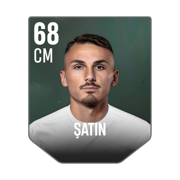 ŞATIN
