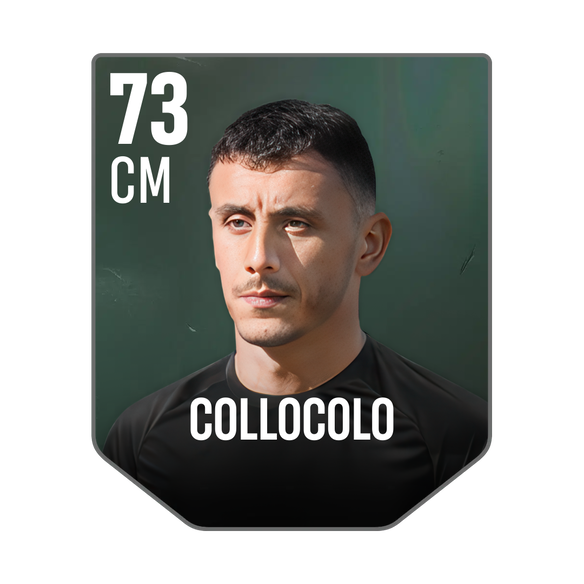 COLLOCOLO
