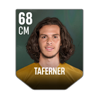 TAFERNER