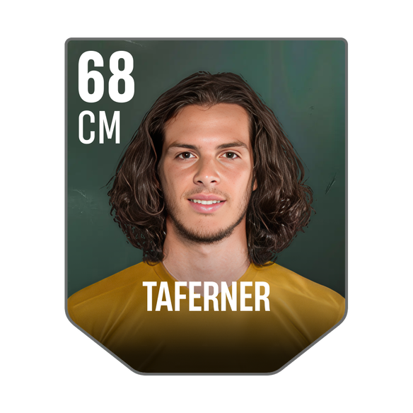 TAFERNER