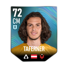 TAFERNER
