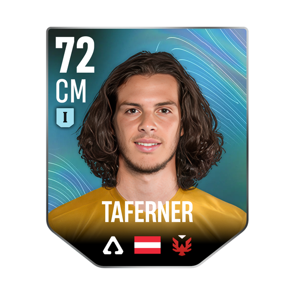 TAFERNER