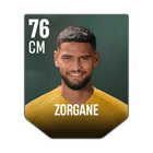 ZORGANE