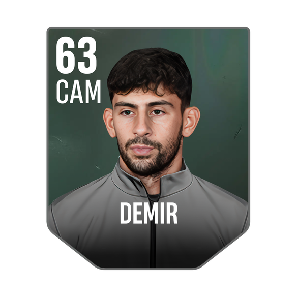 DEMIR