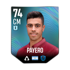 PAYERO