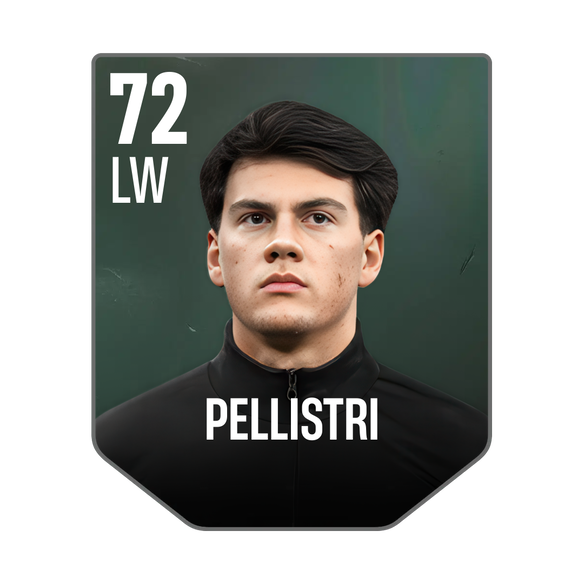 PELLISTRI