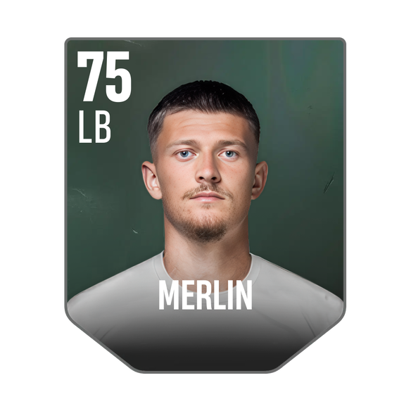 MERLIN