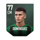 DOMÍNGUEZ