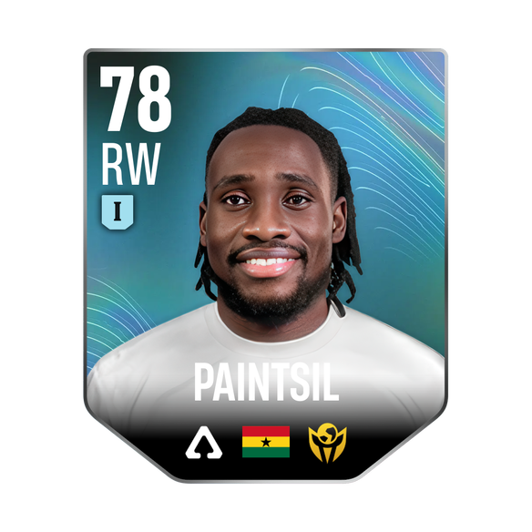 PAINTSIL