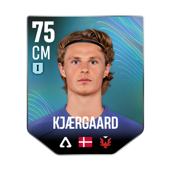 KJÆRGAARD
