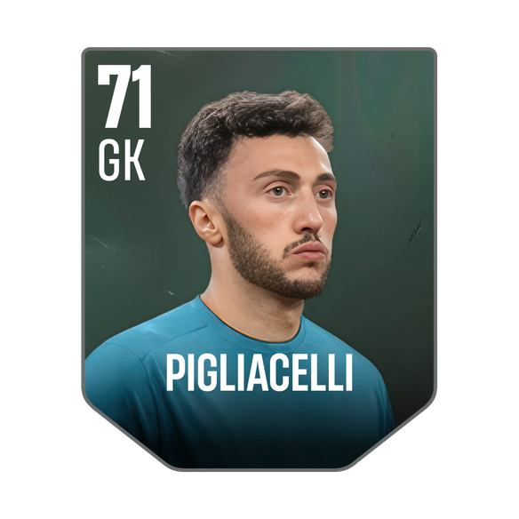 PIGLIACELLI