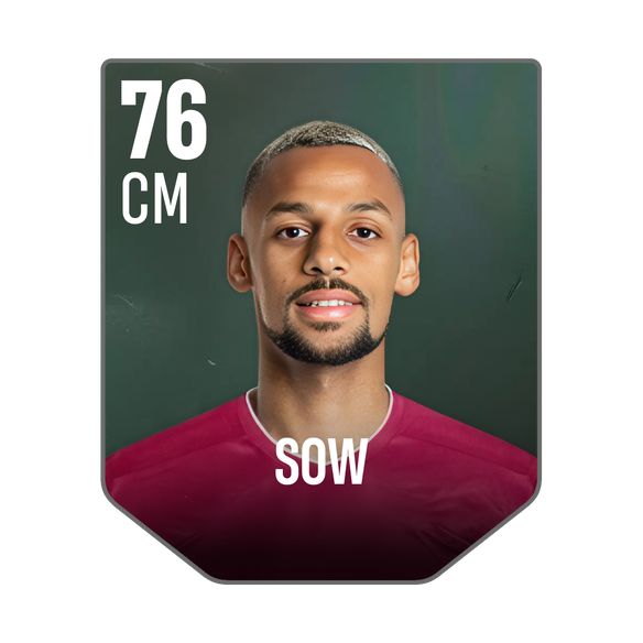 SOW
