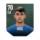 HEDL