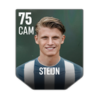 STEIJN