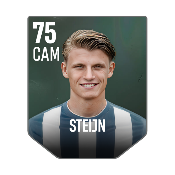 STEIJN