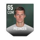 PIESINGER