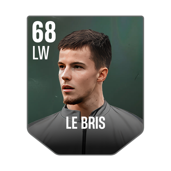 LE BRIS