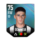 GOUVEIA