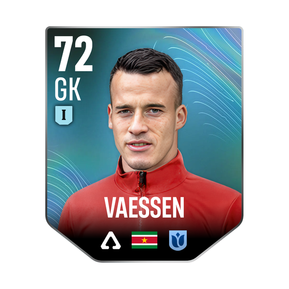 VAESSEN