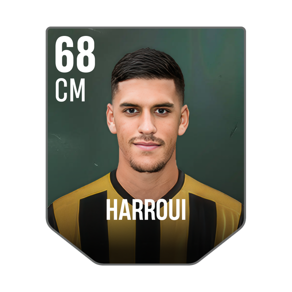 HARROUI