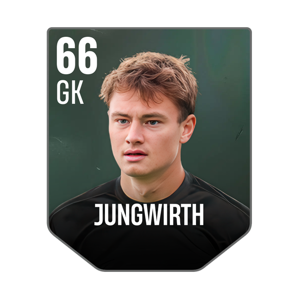 JUNGWIRTH