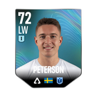 PETERSON