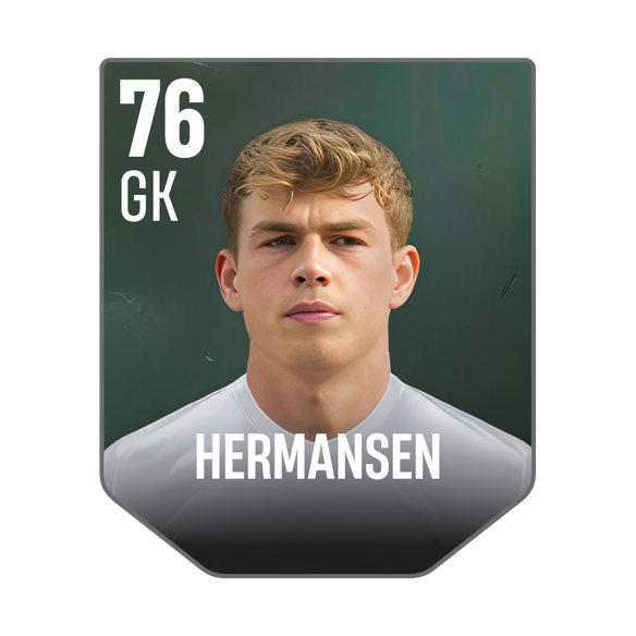 HERMANSEN