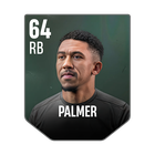 PALMER