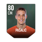 PAŠALIĆ