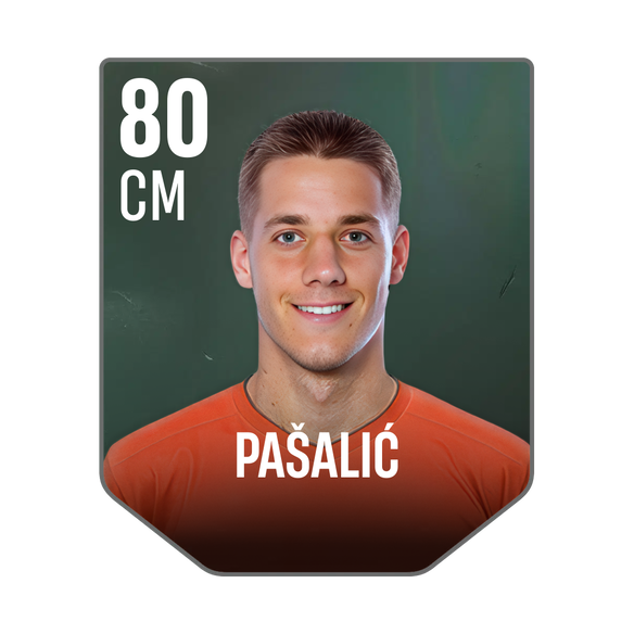PAŠALIĆ
