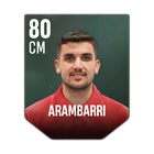 ARAMBARRI