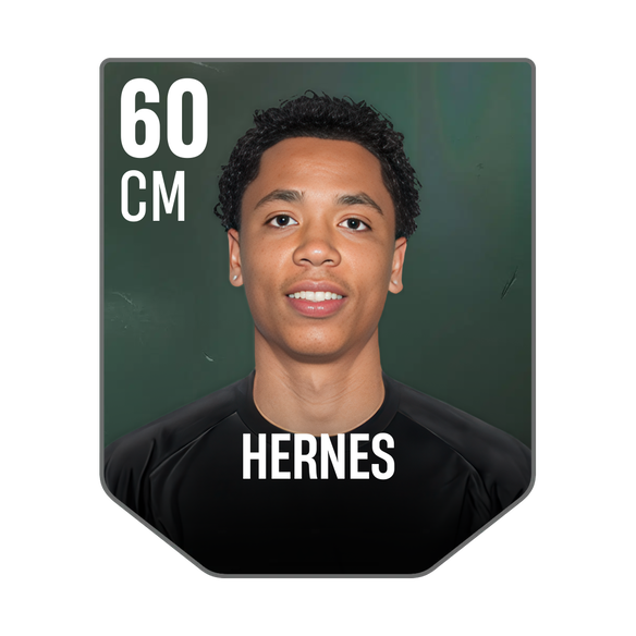 HERNES