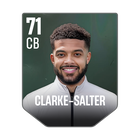 CLARKE-SALTER