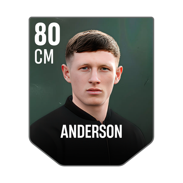 ANDERSON