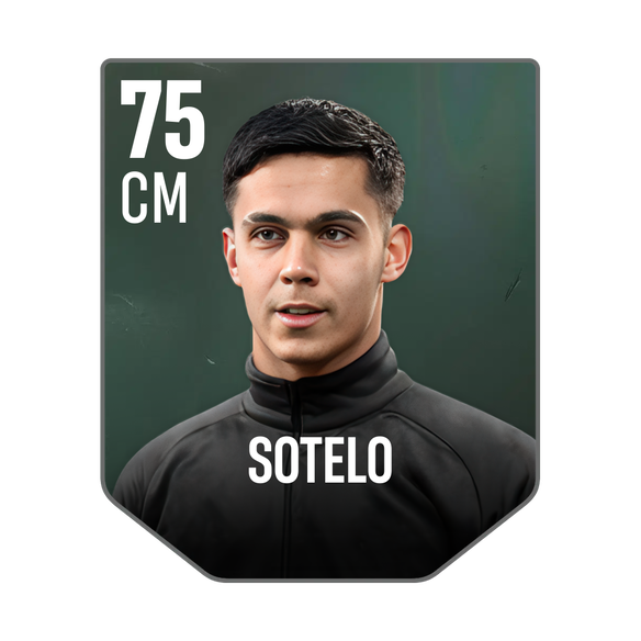 SOTELO