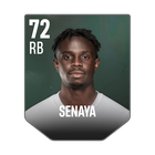 SENAYA